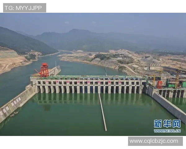 欧洲杯赛事安全管理与突发事件应对策略研究与实践分析